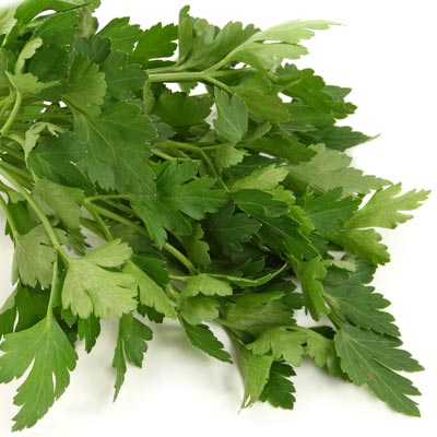 Mediterrane-Kraeuter-Petersilie Mediterrane Kräuter Petersilie © Fotolia