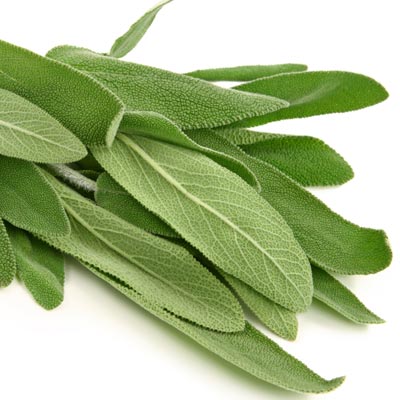 Mediterrane-Kraeuter-Salbei Mediterrane Kräuter Salbei © Fotolia