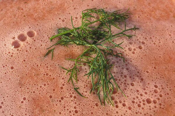 Rezept kalte Melonensuppe, pur oder mit Gurken, Tomate, Öl ...