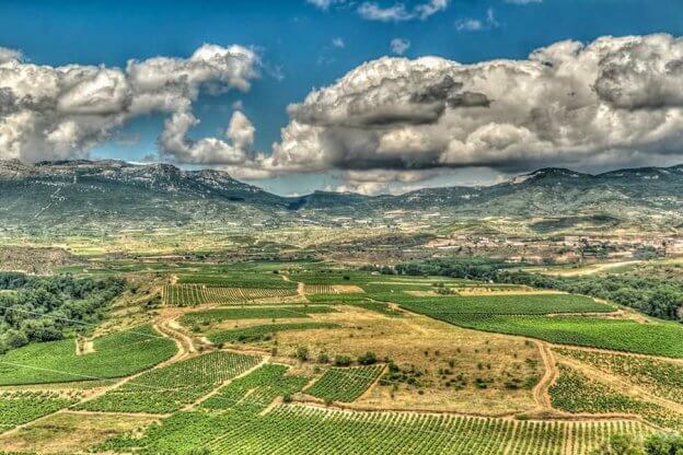 Blick von Briones auf das Rioja-Gebiet © Wikipedia