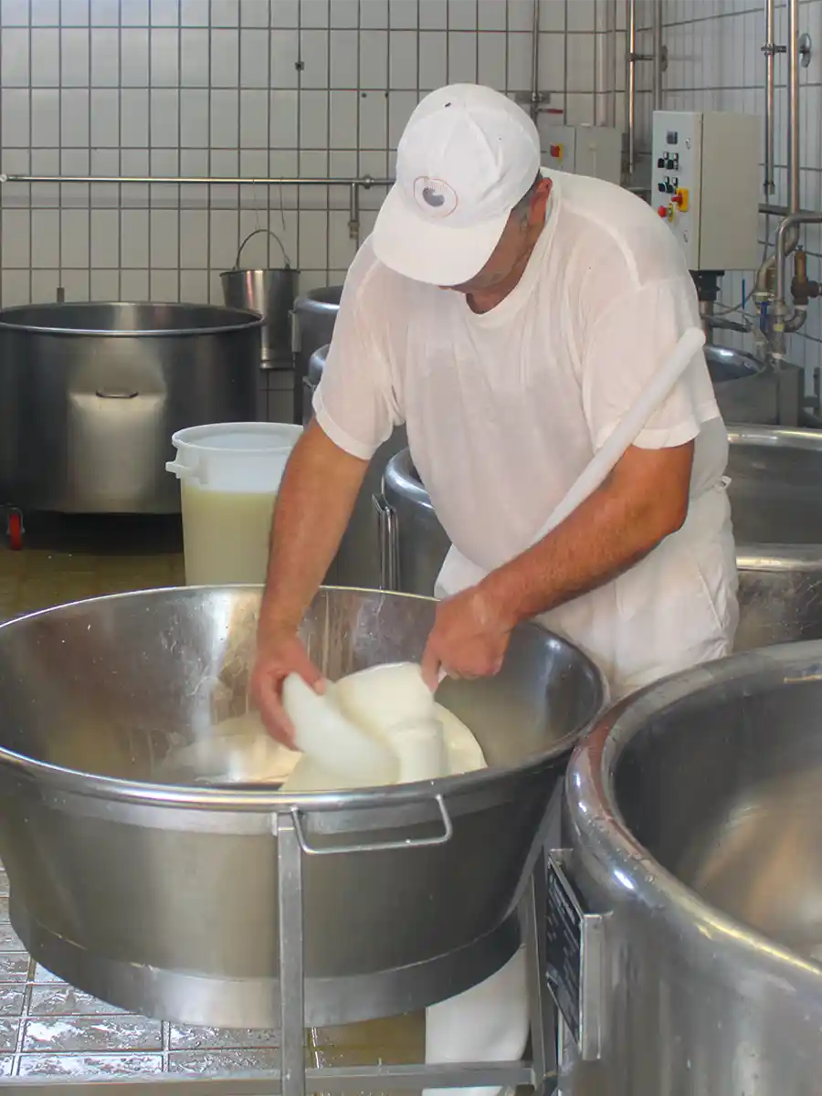 Bueffel-Mozzarella-ziehen Eine Person in weißer Kleidung streckt Käsebruch in einem großen Metallbehälter in einer Molkerei.