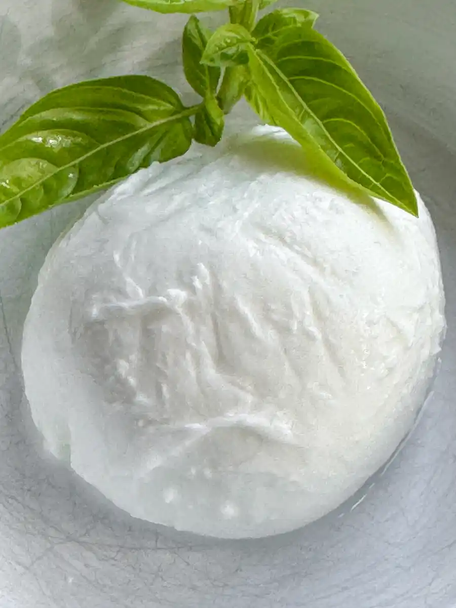 Mozzarella-Kugel Eine Kugel aus frischem Mozzarella-Käse, belegt mit grünen Basilikumblättern auf einer weißen Unterlage.