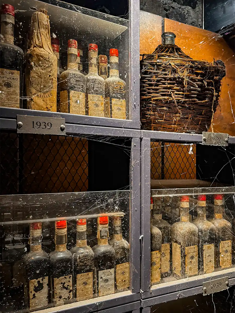 Martinique-Rum-Raritaeten-Museum Verstaubte alte Weinflaschen und ein geflochtener Krug auf Regalen mit der Aufschrift 1939, bedeckt mit Spinnweben.