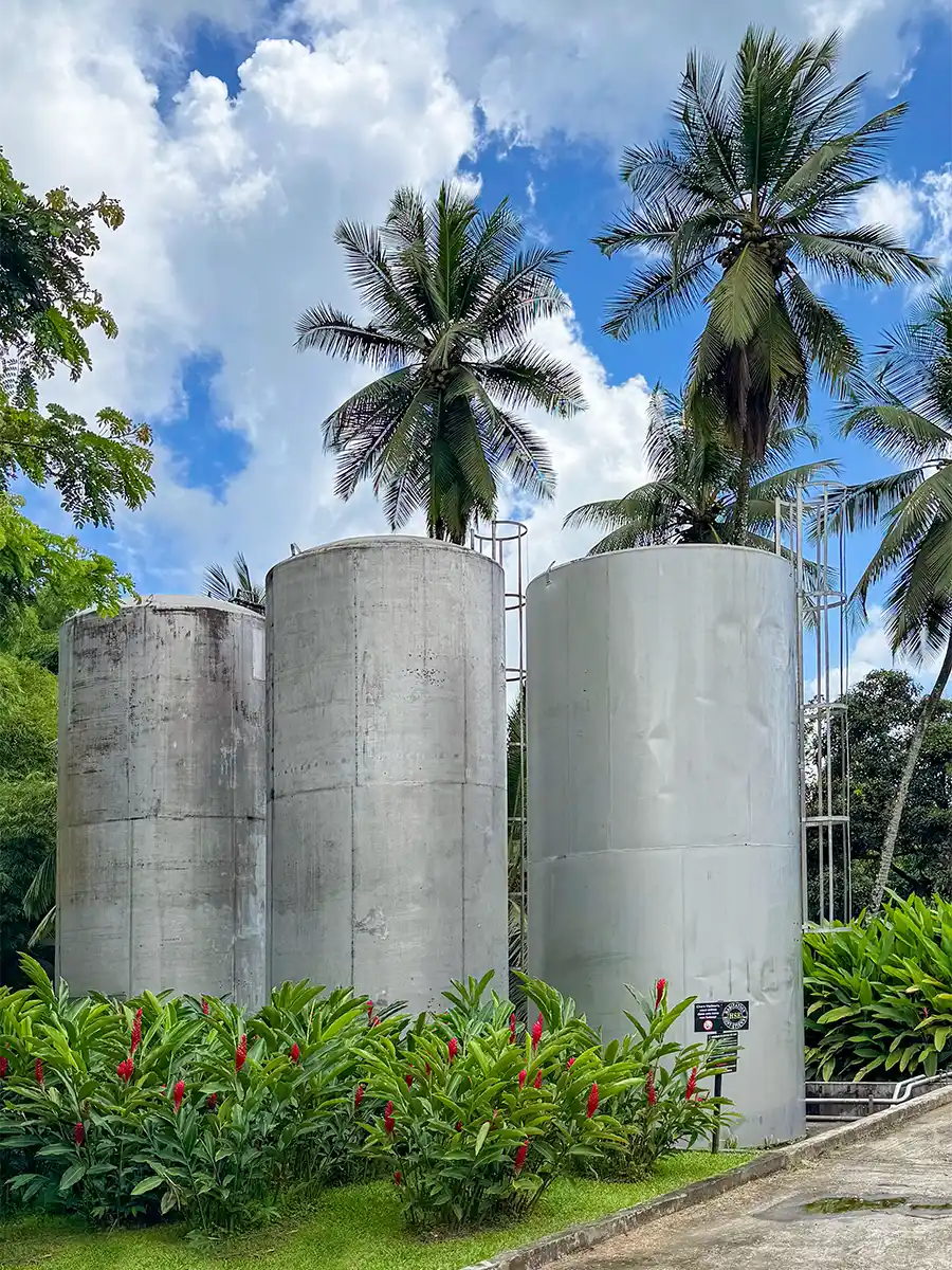 Martinique-weisser-Rum-Edelstahltanks Drei große silberne Lagertanks, umgeben von tropischen Pflanzen und Palmen unter einem blauen Himmel mit Wolken.