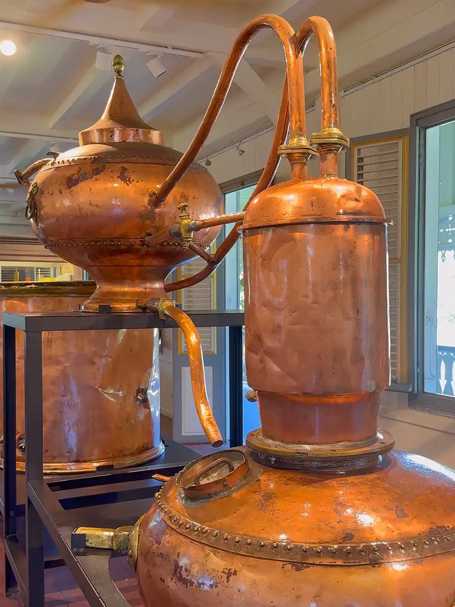 Rum-Museum-Saint-James-Destillation Zwei große, antike Destillierapparate aus Kupfer, die drinnen auf schwarzen Metallständern an den Fenstern ausgestellt sind.