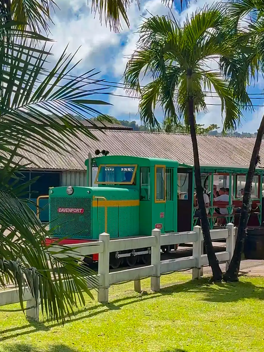 Rum-Museum-Saint-James-Zug Ein grüner Oldtimerzug fährt an einem sonnigen Tag an Palmen und einem weißen Zaun vorbei.