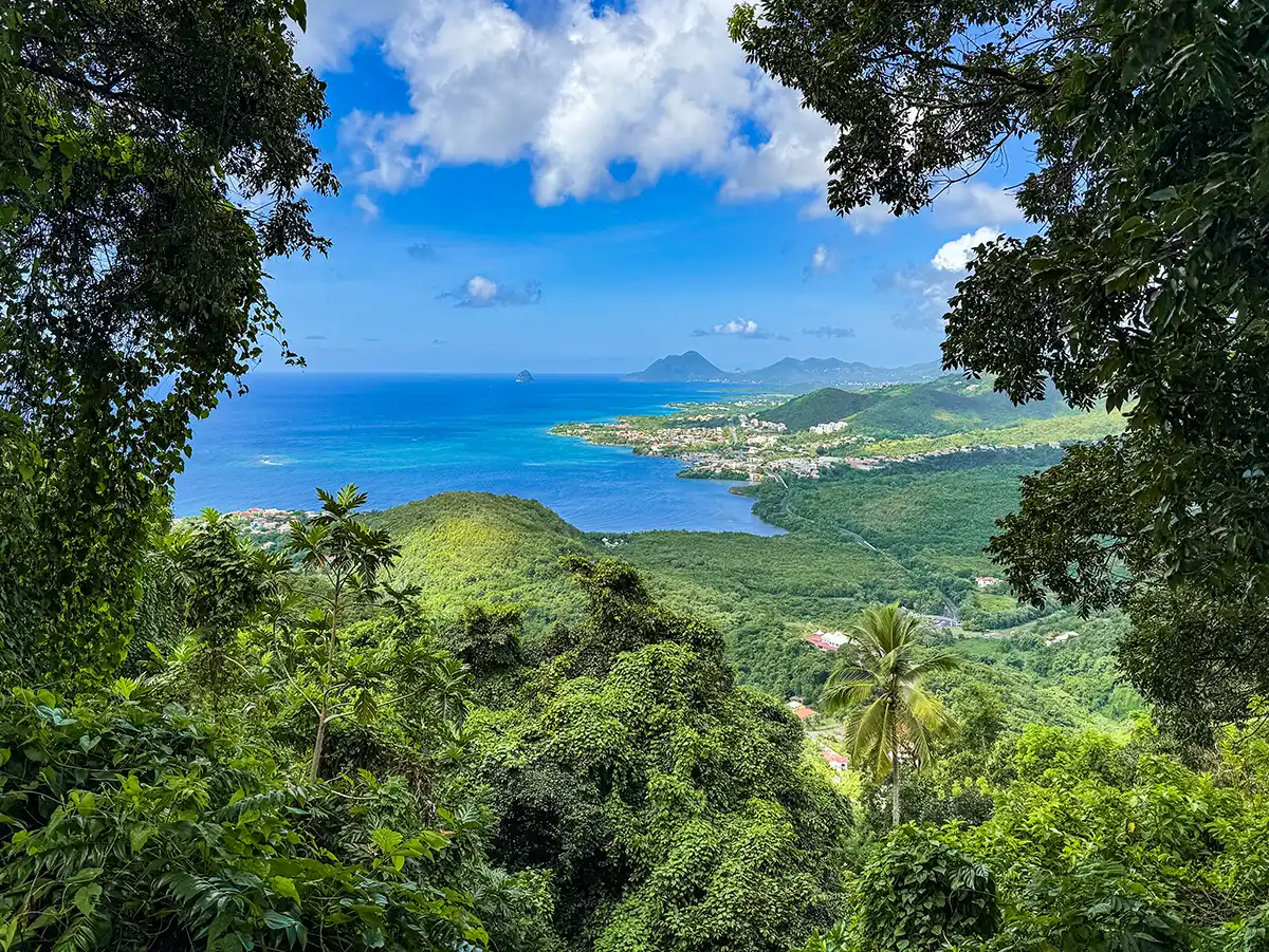 Blick auf üppig grüne Hügel, die Küste und das blaue Meer, umrahmt von Bäumen unter einem teilweise bewölkten Himmel.