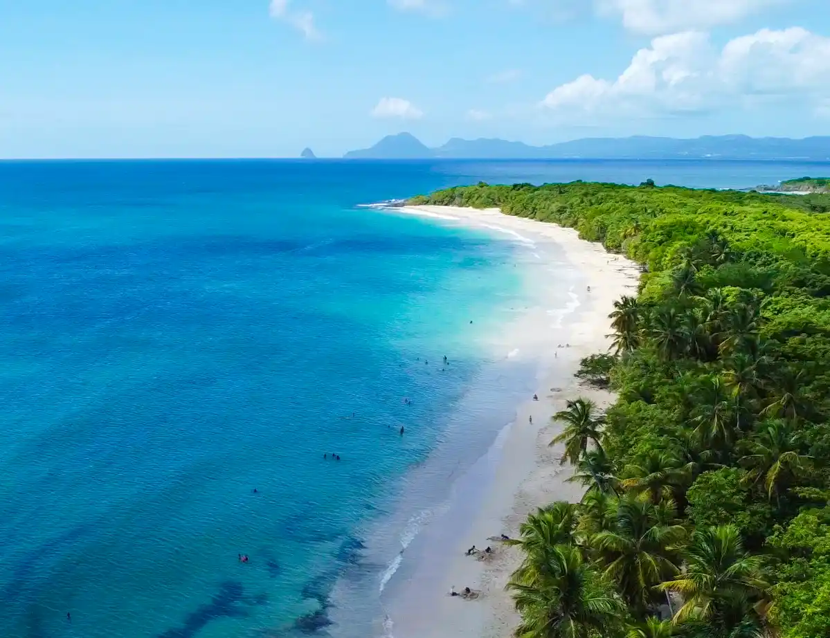 Martinique-Karibik-Traum Luftaufnahme eines tropischen Strandes mit türkisfarbenem Wasser, weißem Sand und üppig grünen Palmen.