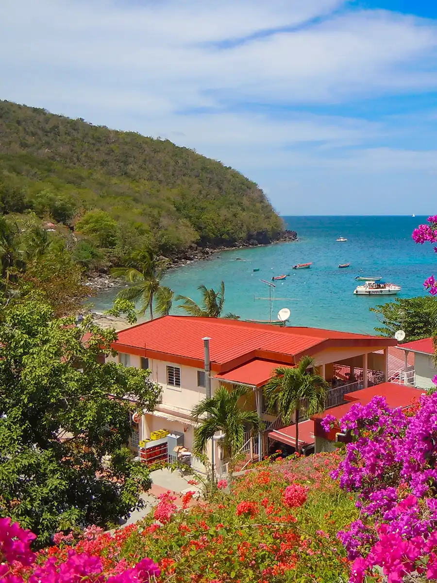 Martinique-Straende-Anse-Dufour Tropische Bucht mit Booten, roten Dächern, Palmen und leuchtend rosa Blumen unter blauem Himmel.