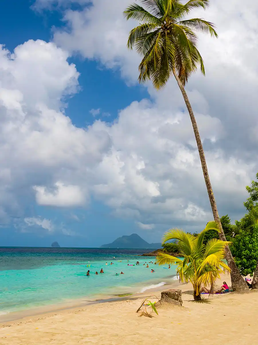 Martinique-Straende-Anse-Figuier Tropischer Strand mit türkisfarbenem Wasser, Palmen und schwimmenden Menschen unter einem teilweise bewölkten Himmel.
