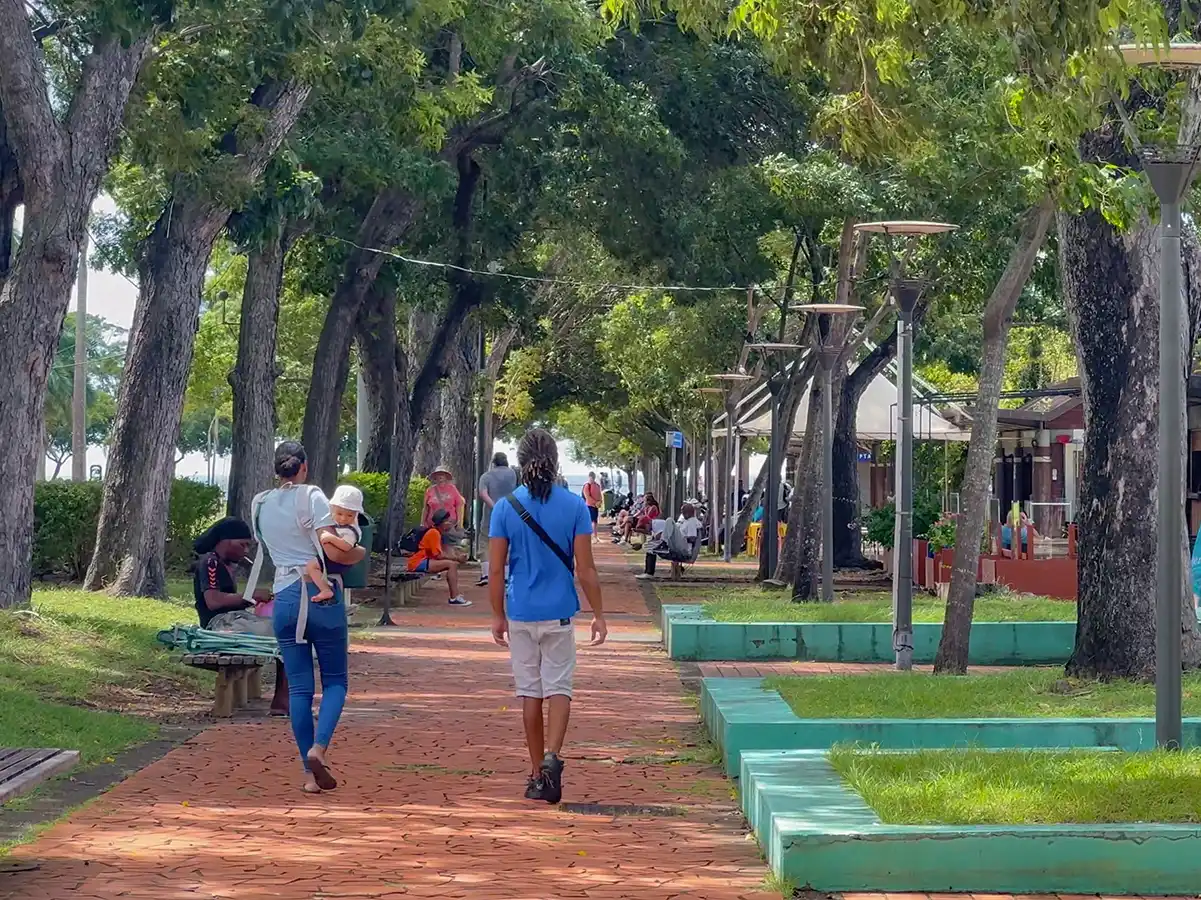 Sehenswurdigkeiten-Martinique-Park-la-Savane-Kioske An einem sonnigen Tag schlendern Menschen einen von Bäumen gesäumten Parkweg mit Bänken entlang.