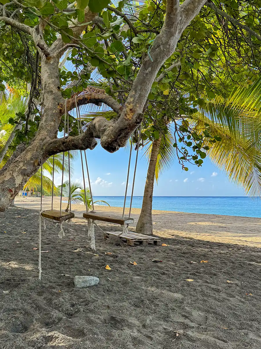 Sehenswurdigkeiten-Martinique-Strand-Le-Carbet-Schaukel Baumschaukeln hängen über einem tropischen Sandstrand mit Palmen und Blick auf das blaue Meer und den Himmel.