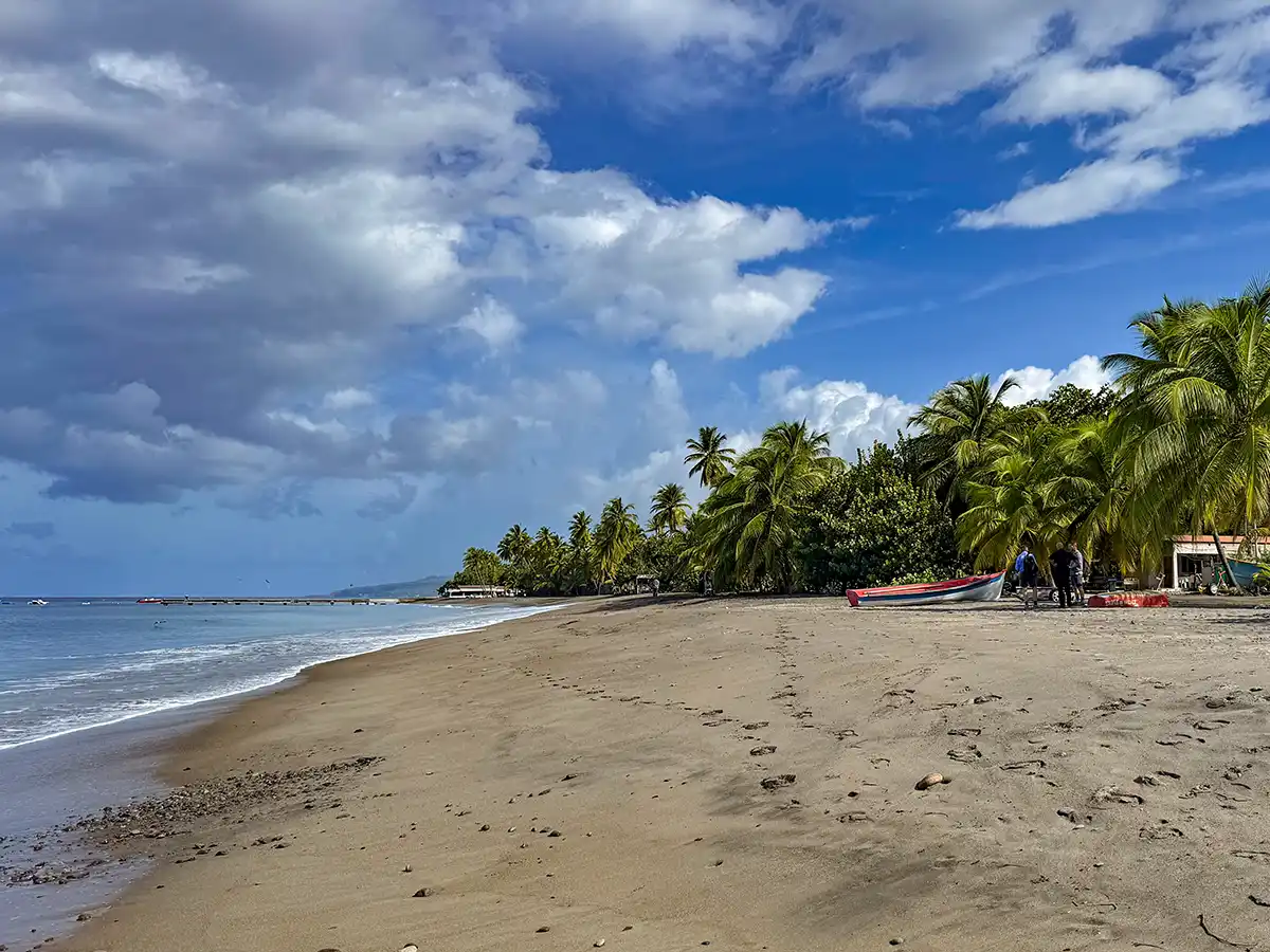 Sehenswurdigkeiten-Martinique-Strand-Le-Carbet Sandstrand mit Palmen, Fußabdrücken, kleinen Booten und einem teilweise bewölkten Himmel am Meer.