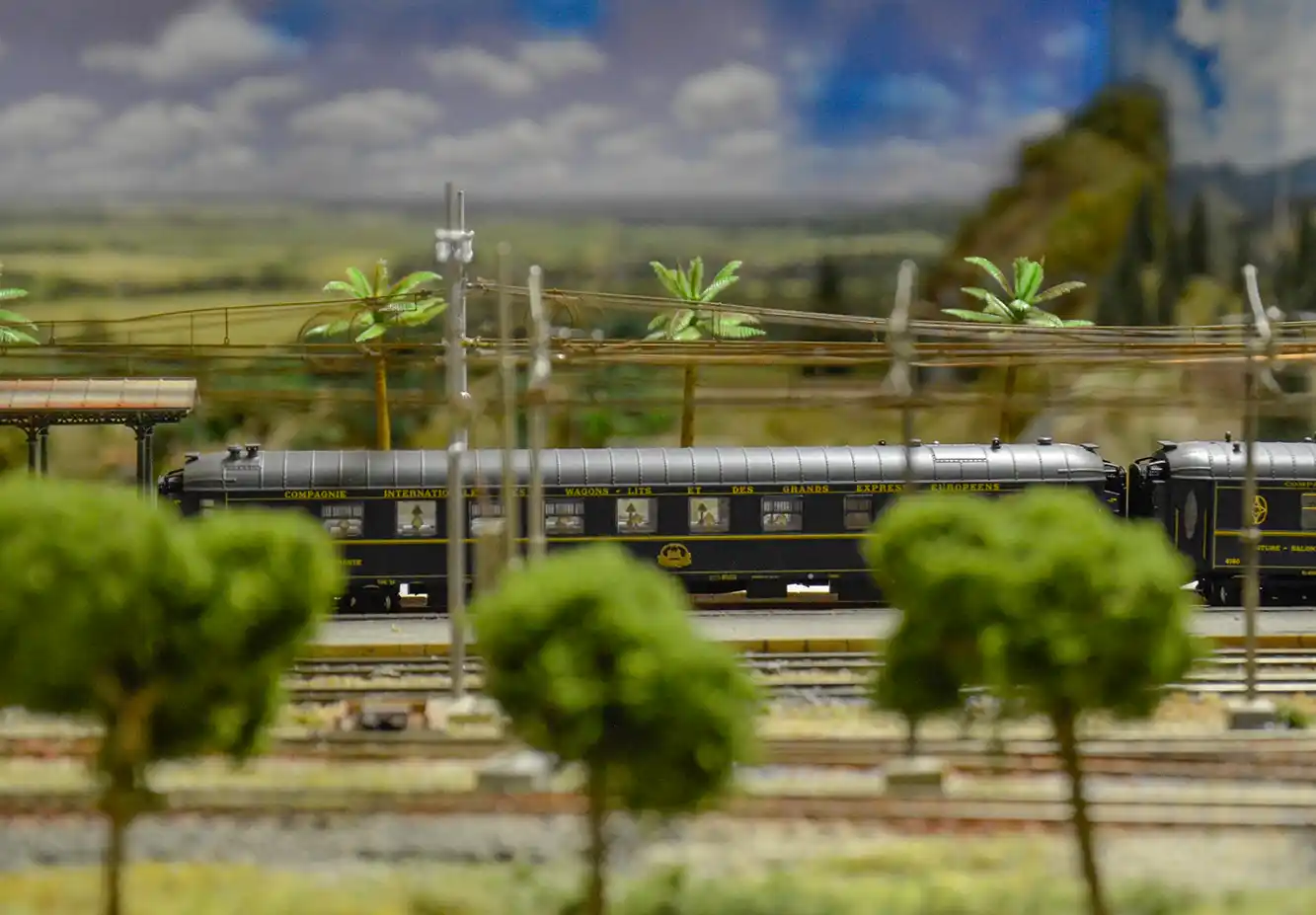 Eine Modelleisenbahn auf Gleisen mit Palmen und Grünpflanzen im Hintergrund, unter blauem Himmel.