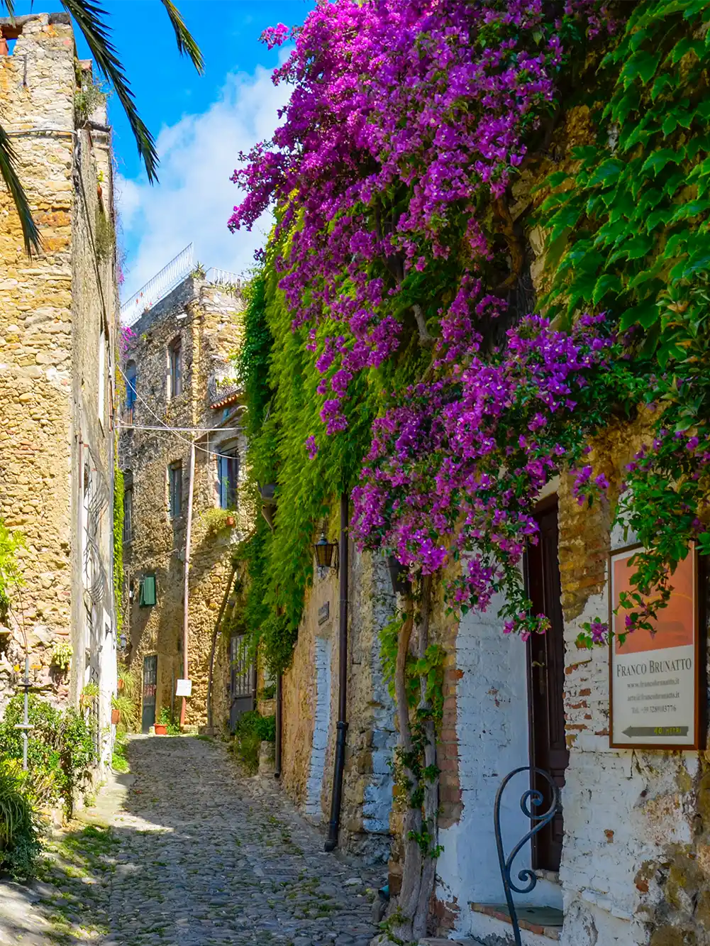 Enge Kopfsteinpflasterstraße mit alten Steingebäuden und leuchtend lila Bougainvillea an den Wänden.