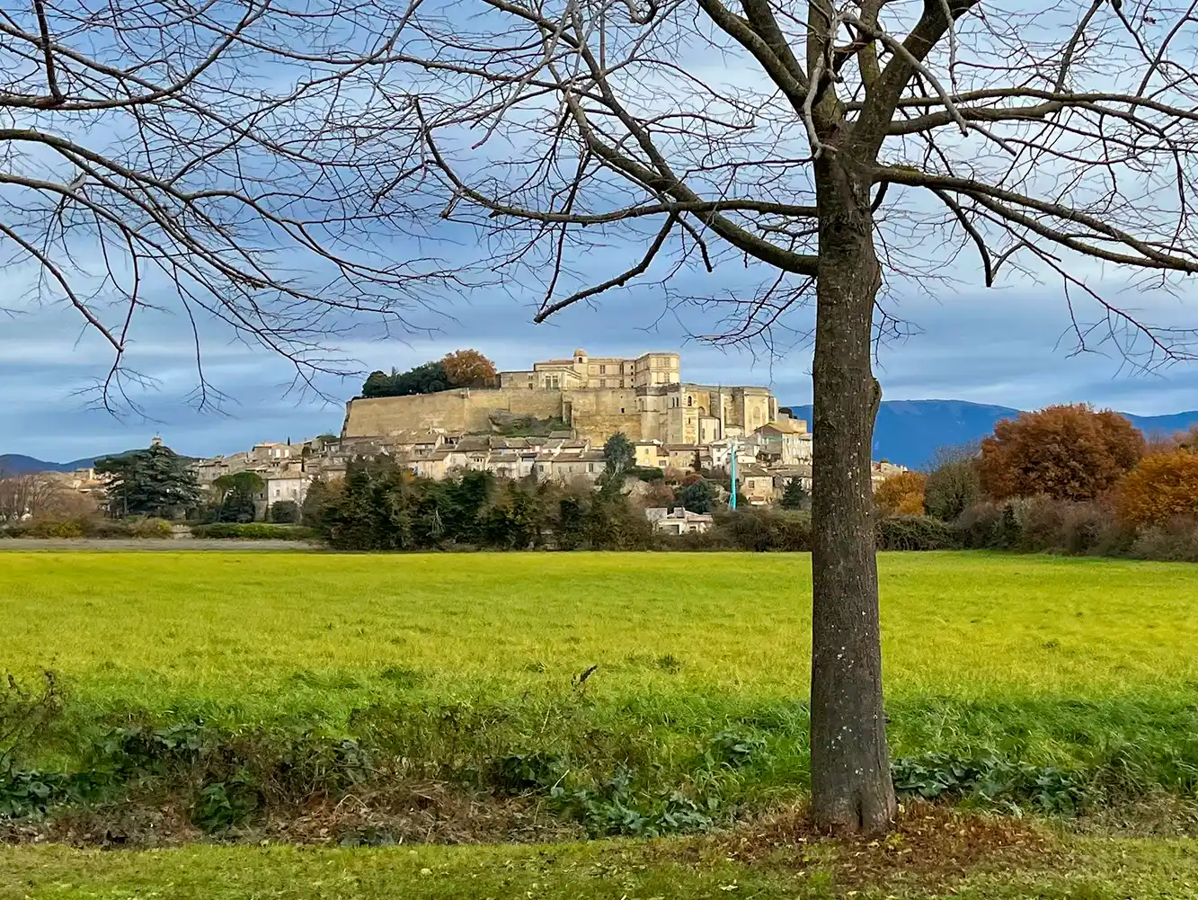 Grignan-Schloss-Felsen Ein Baum auf einer grünen Wiese mit einem burgähnlichen Schloss auf einem Hügel und einem Dorf davor unter einem bewölkten Himmel.