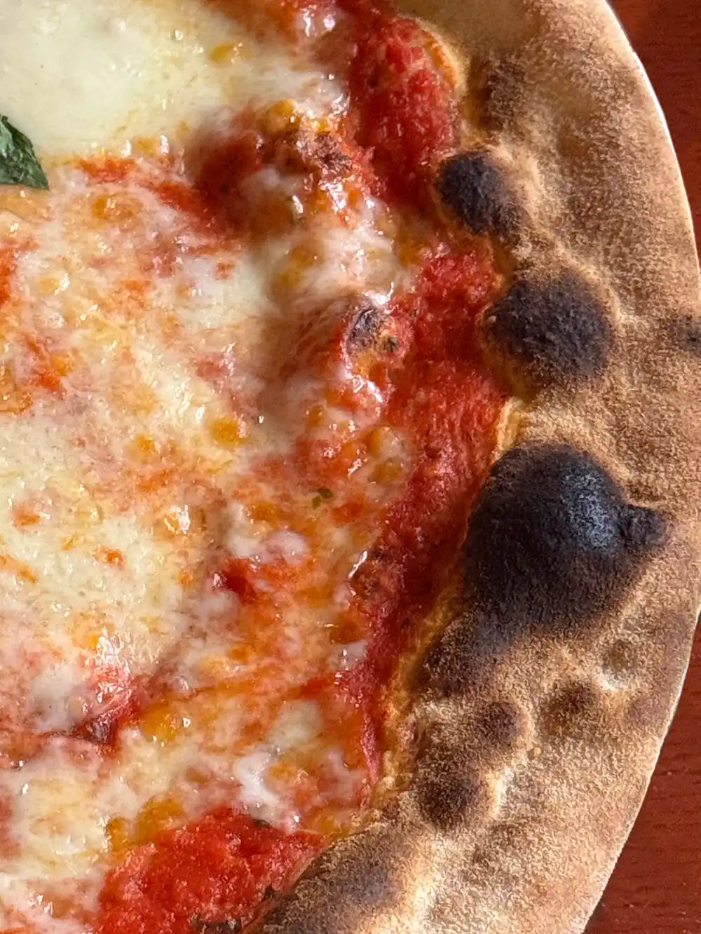 Nahaufnahme einer Pizza mit geschmolzenem Käse, Tomatensauce und einer verkohlten, knusprigen Kruste.