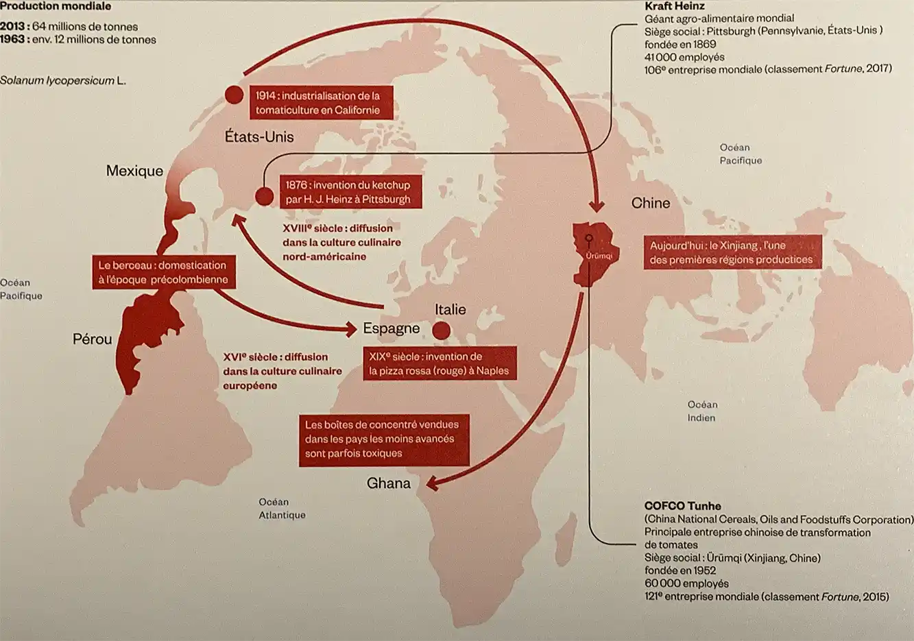 Eine Weltkarte zeigt mit Pfeilen und Textfeldern die Geschichte und die globalen Produktionswege der Tomate.
