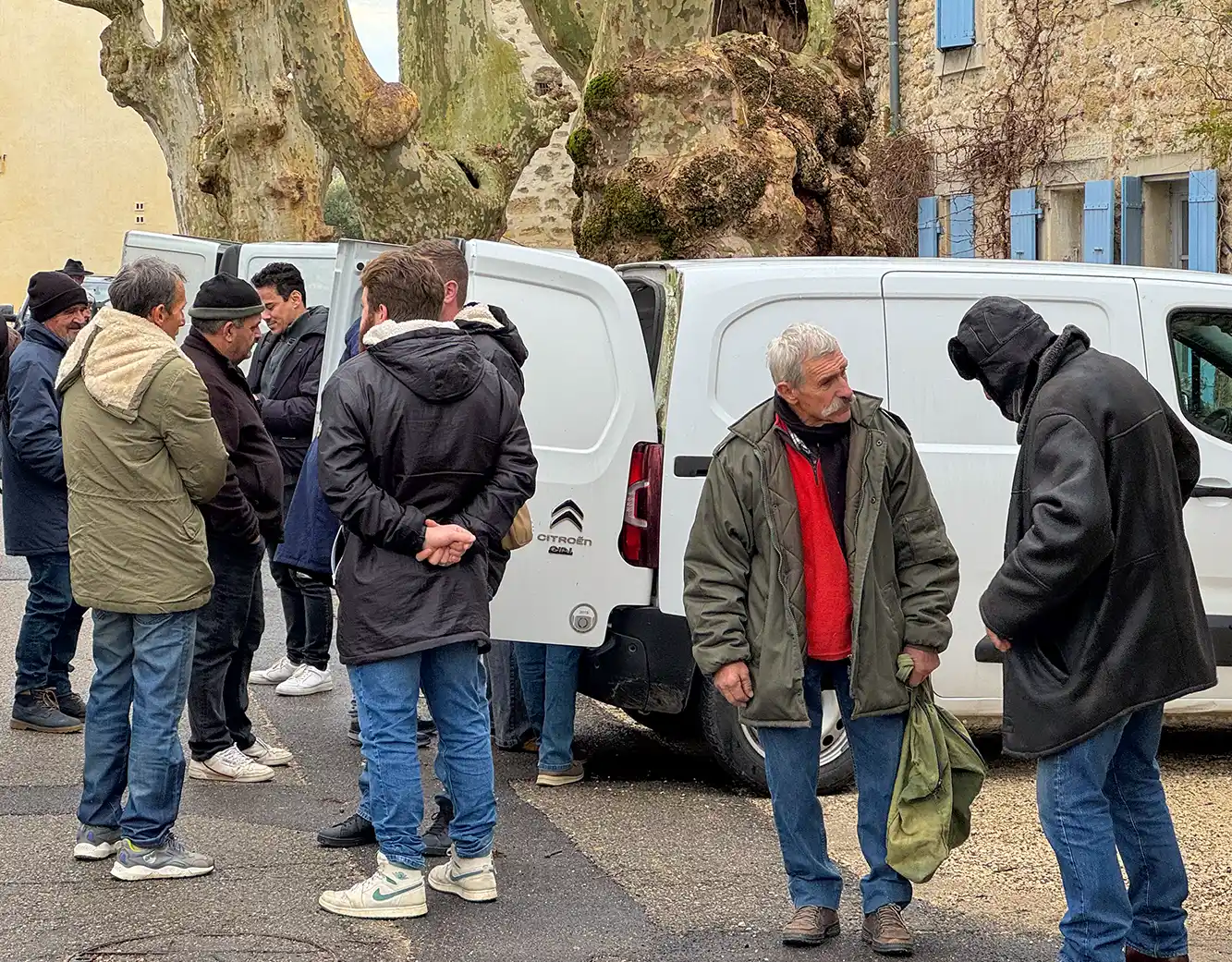 Trueffelmarkt-Richerenches-Haendlermarkt Eine Gruppe von Männern unterhält sich in der Nähe eines weißen Lieferwagens, der an einer Straße mit großen Bäumen geparkt ist.