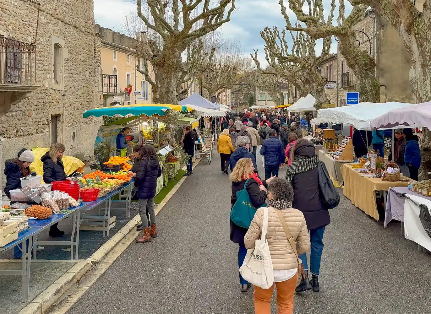 Trueffelmarkt-Richerenches-Privatmarkt Die Menschen stöbern auf einem Markt im Freien, der von Ständen und blattlosen Bäumen gesäumt ist, nach frischen Produkten und Waren.