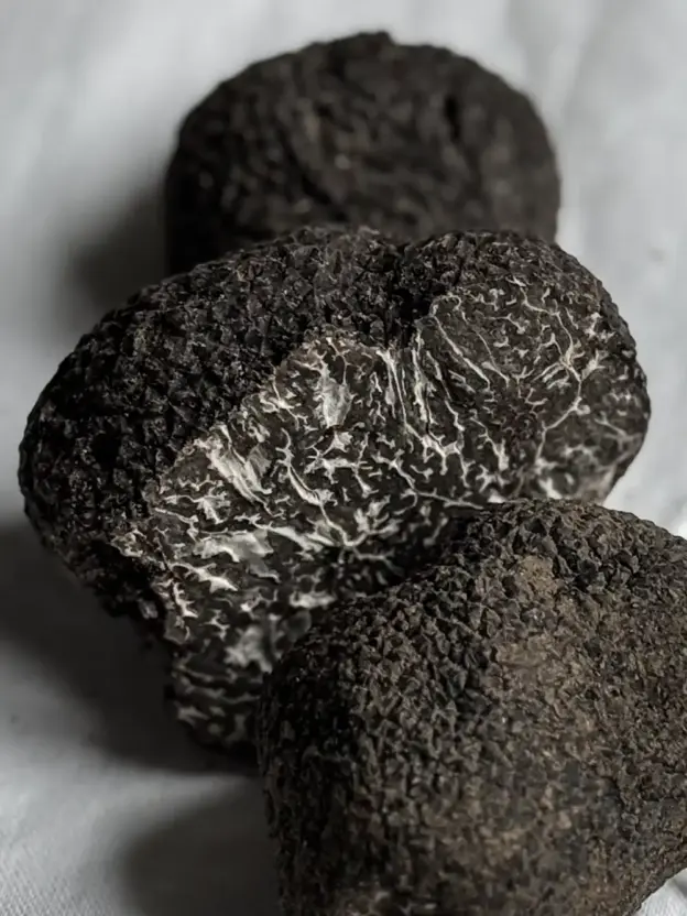 Nahaufnahme von drei schwarzen Trüffeln mit rauer Schale und marmoriertem Inneren auf einer weißen Fläche.