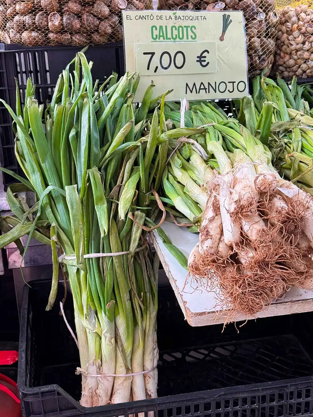 Bündel von Calçots, die auf einem Markt zu einem Preis von 7 Euro pro Bündel verkauft werden.