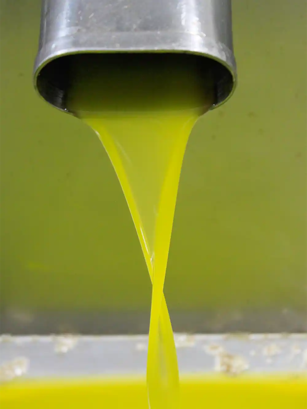 Eine leuchtend gelb-grüne Flüssigkeit, Olivenöl, fließt gleichmäßig aus einer Metalltülle in einen darunter stehenden Behälter.