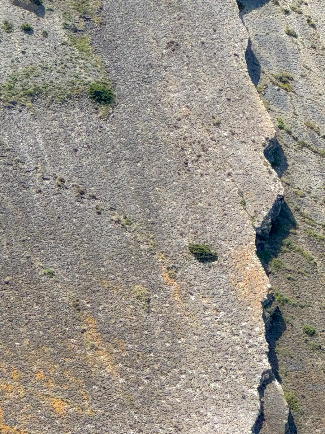 Steile Felswand mit spärlicher grüner Vegetation und diagonal verlaufenden Tierspuren.
