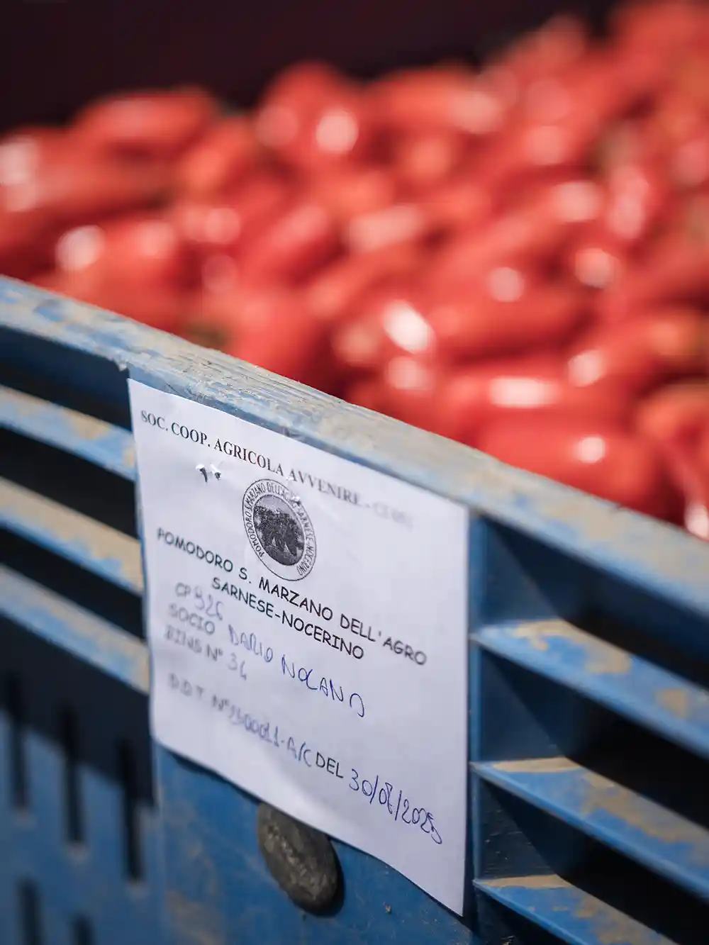 Eine blaue Kiste, gefüllt mit roten Tomaten, beschriftet mit einem Papieretikett, auf dem Produkt und Datum angegeben sind.