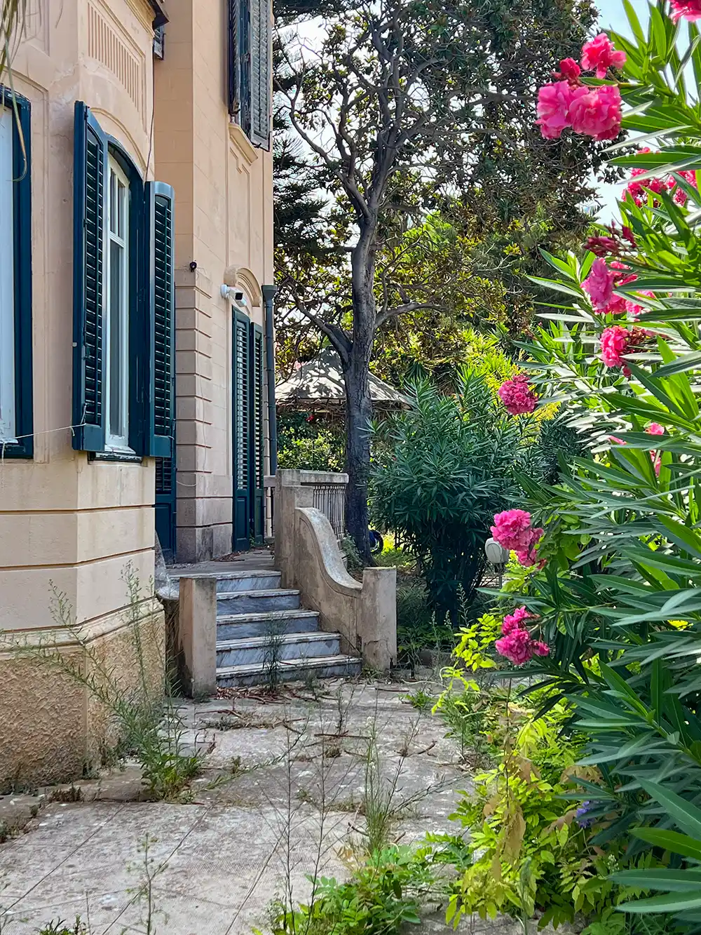 Stuckhaus mit offenen Fensterläden, Steintreppe, üppigem Grün und leuchtend rosa Blumen im Garten.