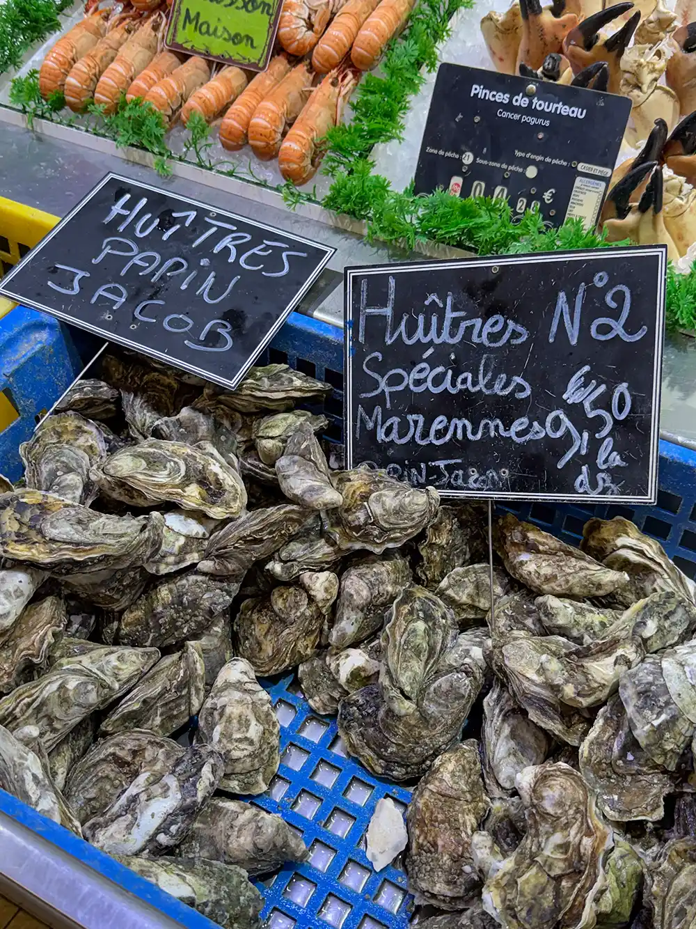 Austern, ausgestellt auf einem Fischmarkt, mit handgeschriebenen Schildern und anderen Schalentieren im Hintergrund.