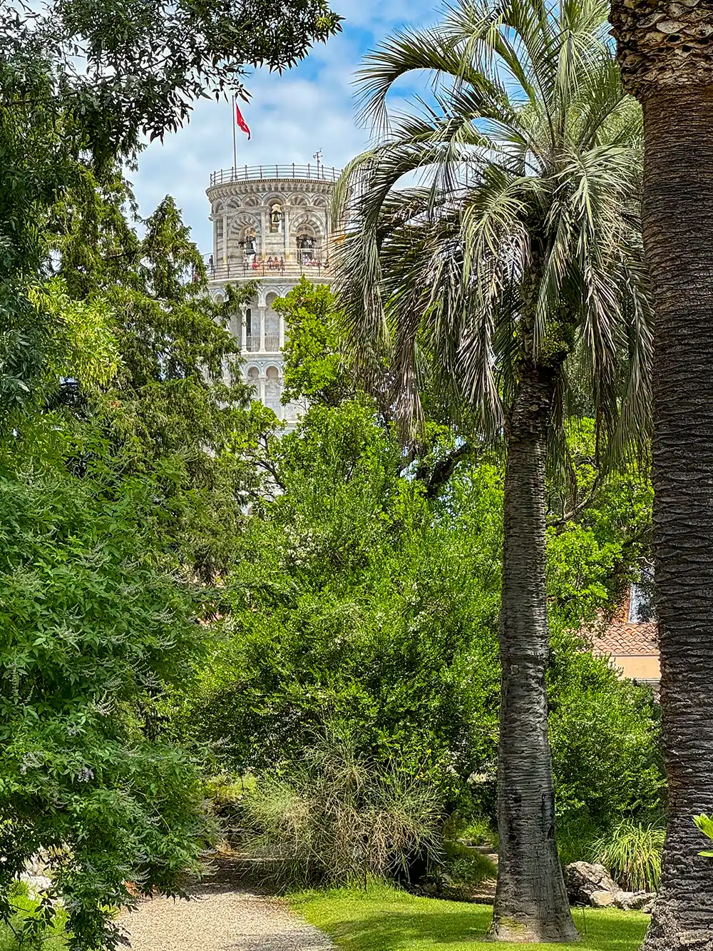 Pisa-Botanischer-Garten-Fototipp Der Schiefe Turm von Pisa ist hinter üppig grünen Bäumen und hohen Palmen teilweise zu sehen.