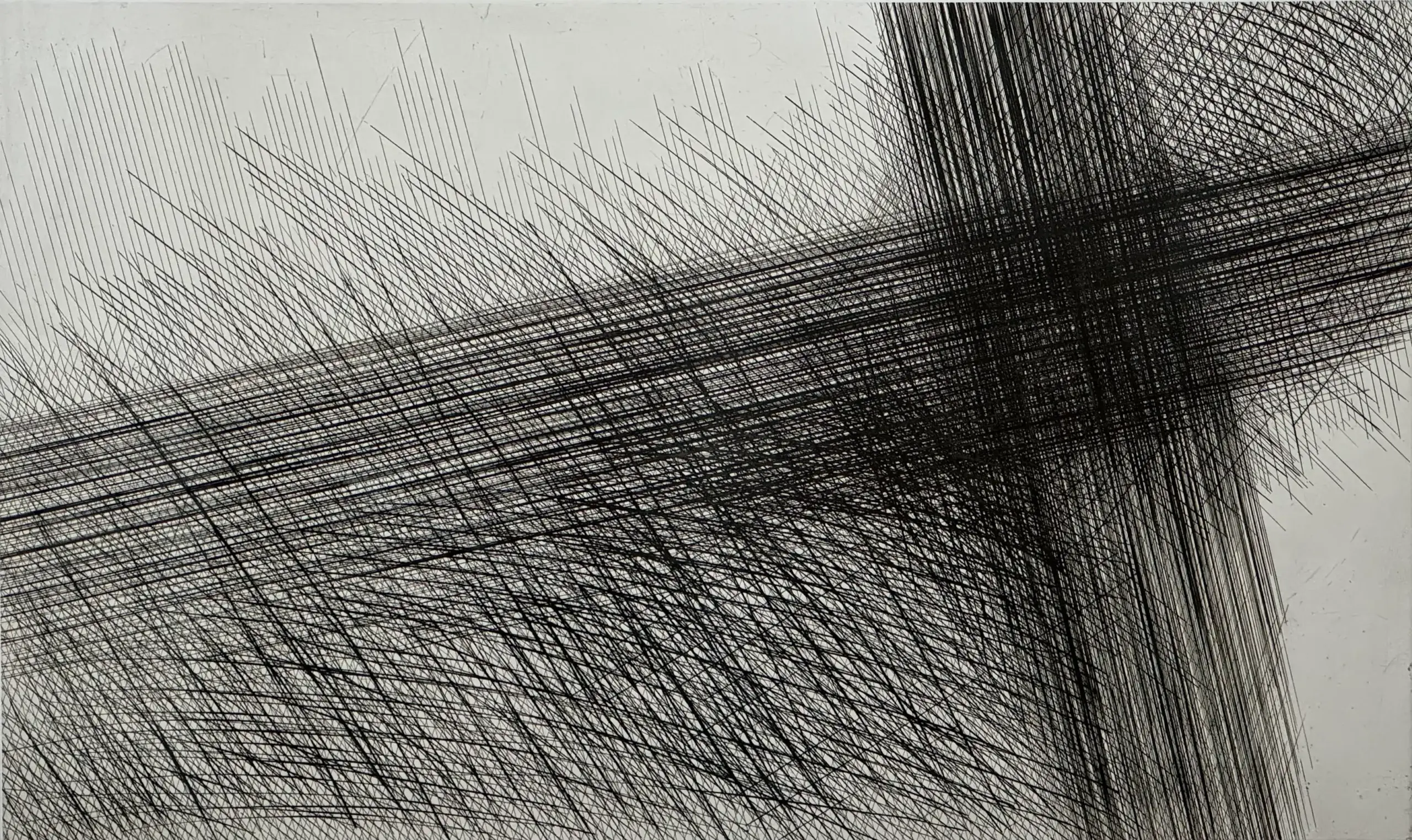 Dichte, schwarze, sich kreuzende Linien bilden abstrakte geometrische Muster auf weißem Hintergrund.