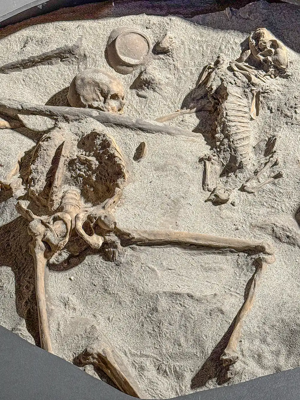 Ein menschliches und ein Hunde-Skelett, die teilweise im Sand vergraben sind und nebeneinander an einer archäologischen Ausgrabungsstätte liegen.