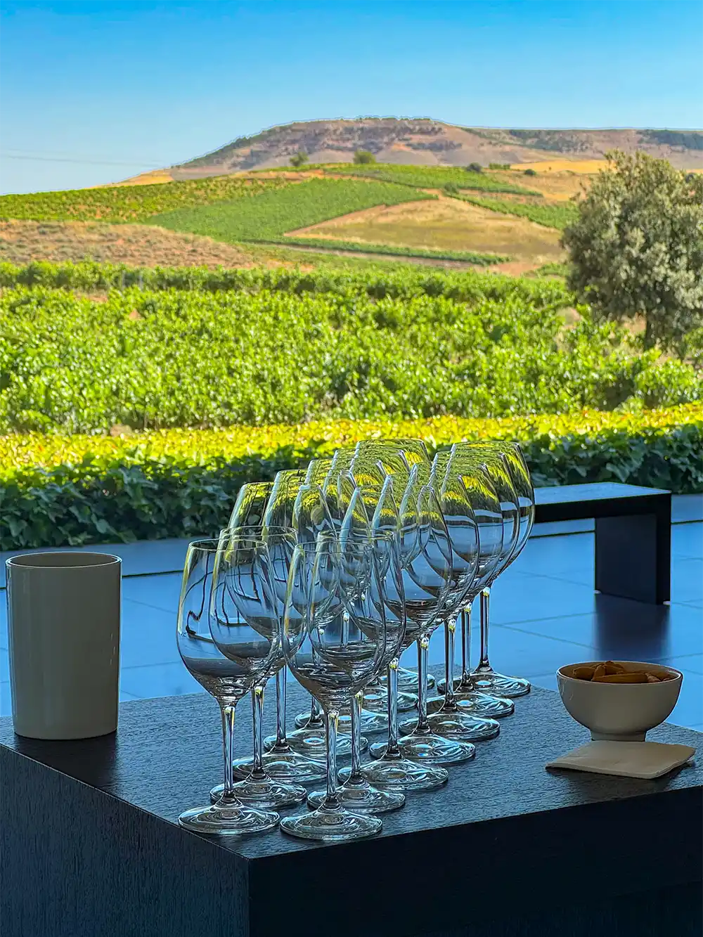 Weinprobe-Pago-de-los-Capellanes Zehn leere Weingläser und eine Tasse auf einem Tisch, mit Blick auf einen Weinberg und Hügel im Hintergrund.