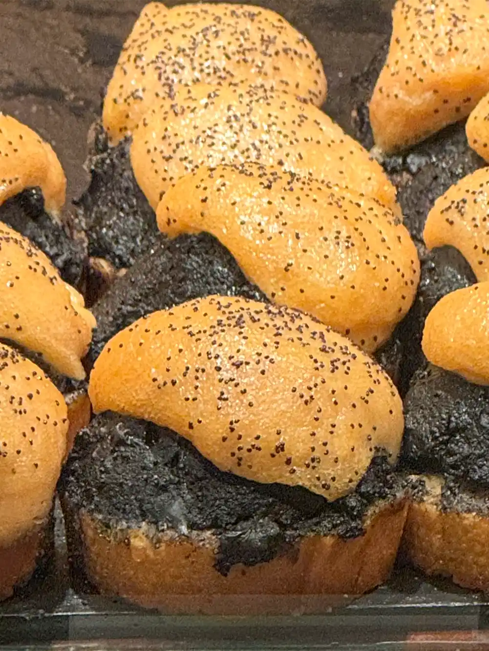 Brot mit einer dicken schwarzen Aufstrichschicht, belegt mit goldbraunen Gebäckschichten, die mit Mohn bestreut sind.