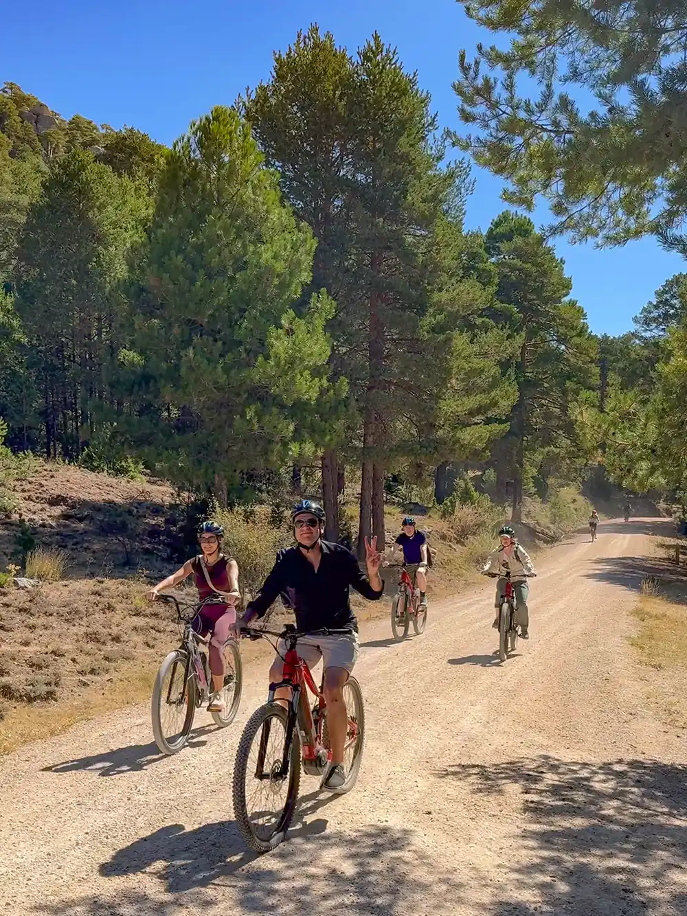 Cuenca-Radwandern Fünf Menschen fahren mit dem Fahrrad auf einem sonnigen Feldweg durch einen Wald, umgeben von hohen grünen Bäumen.