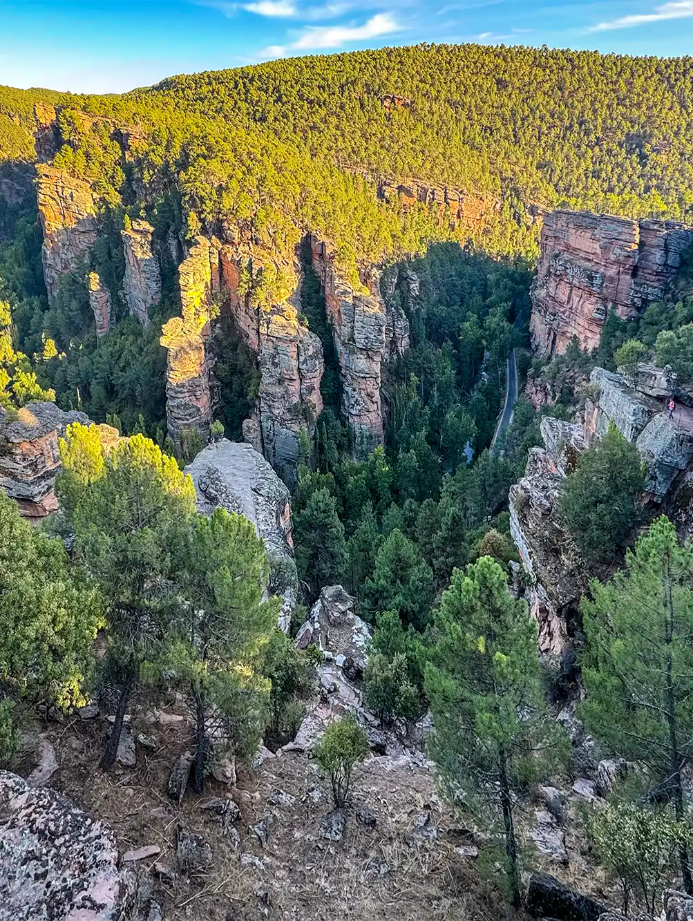 Cuenca-Virgen-de-la-hoz-Felsen Felsige Klippen und dichter Kiefernwald unter strahlend blauem Himmel, von oben betrachtet in einer natürlichen Schluchtlandschaft.