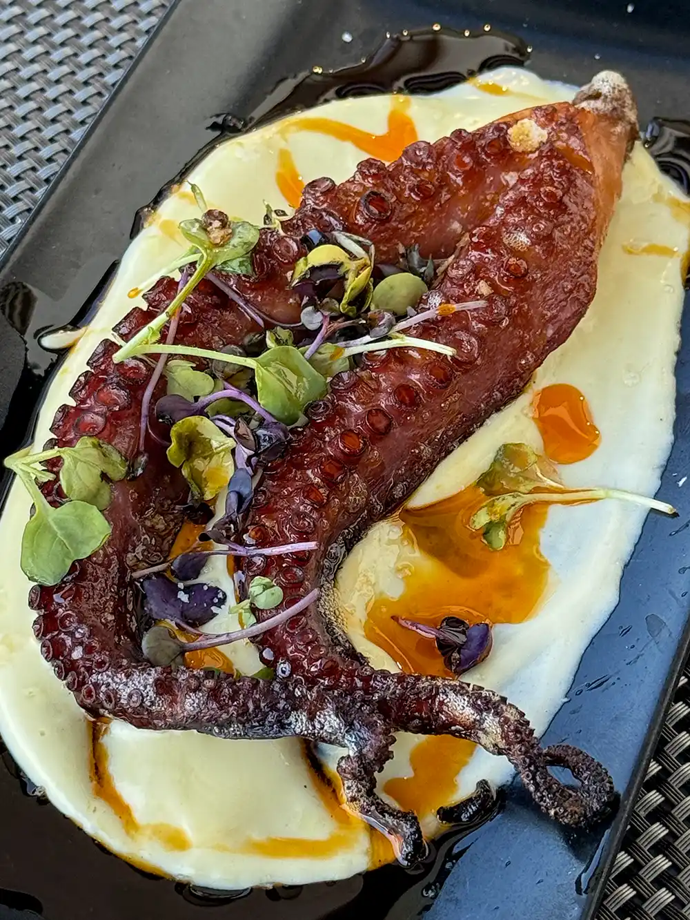 Getaria-Baskenland-Oktopus Gegrillter Tintenfischarm auf cremigem Püree mit Microgreens und einem Spritzer Öl auf einem schwarzen Teller.