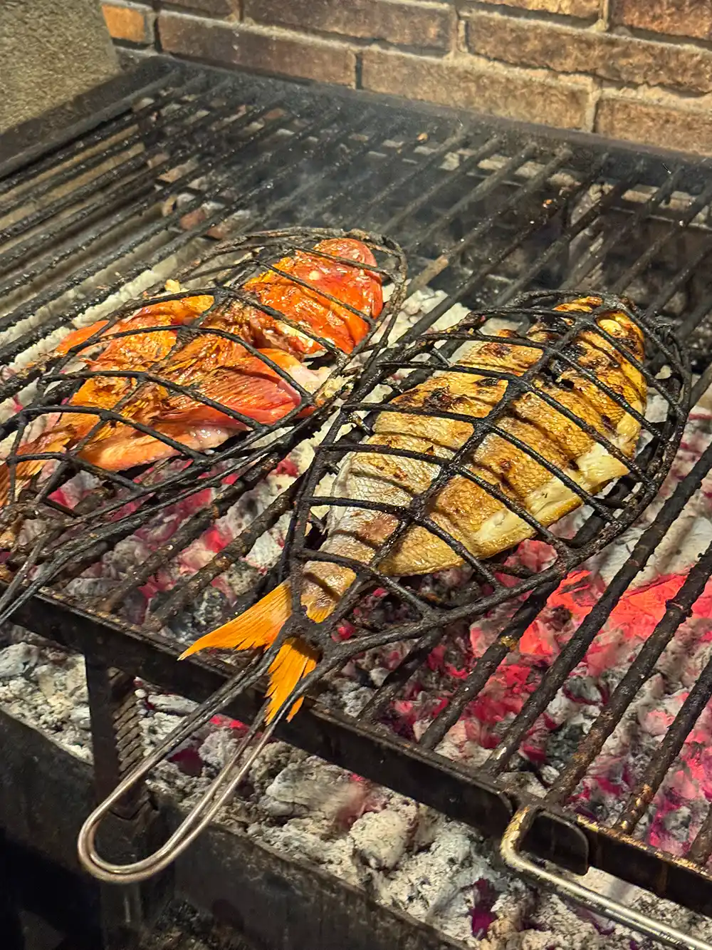 Getaria-gegrillter-Fisch 2 Fische auf dem Holzkohlen-Grill