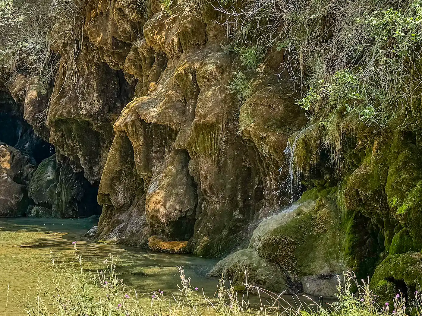 Quelle-Rio-Cuervo Am Fuße der moosbedeckten Felswände, die nur spärlich bewachsen sind und durch die das Sonnenlicht hindurchscheint, fließt klares Wasser.