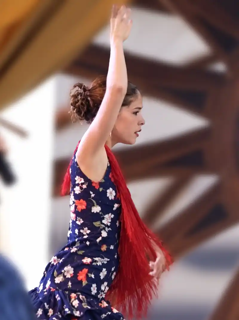 Sevillana-Taenzerin Eine Frau in einem geblümten Kleid und einem roten Schal tanzt mit erhobenem Arm, der Hintergrund ist unscharf.