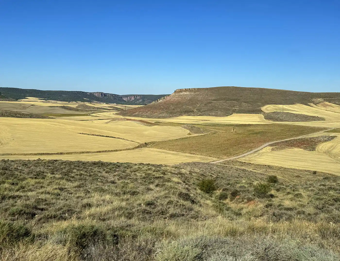 Molina-de-Aragon-Landschaft Weite gelbe Felder und sanfte Hügel unter einem strahlend blauen Himmel.