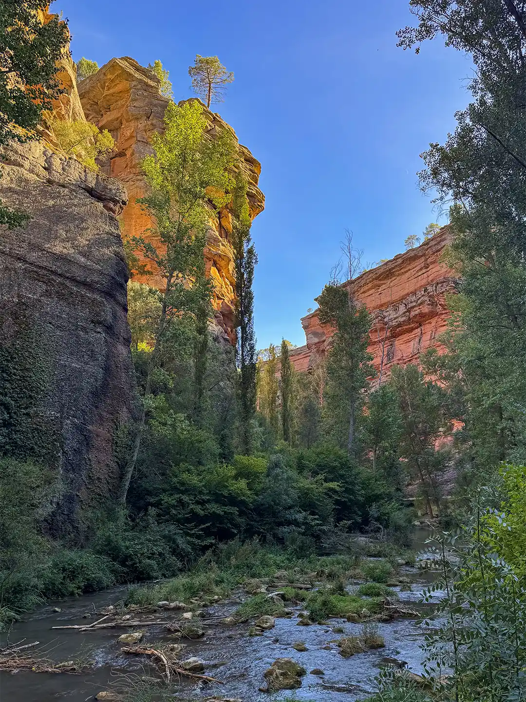 Naturpark-Alto-Tajo-Rio-Gallo Ein Bach, der durch eine Schlucht mit hohen, sonnenbeschienenen Felswänden und Bäumen fließt.