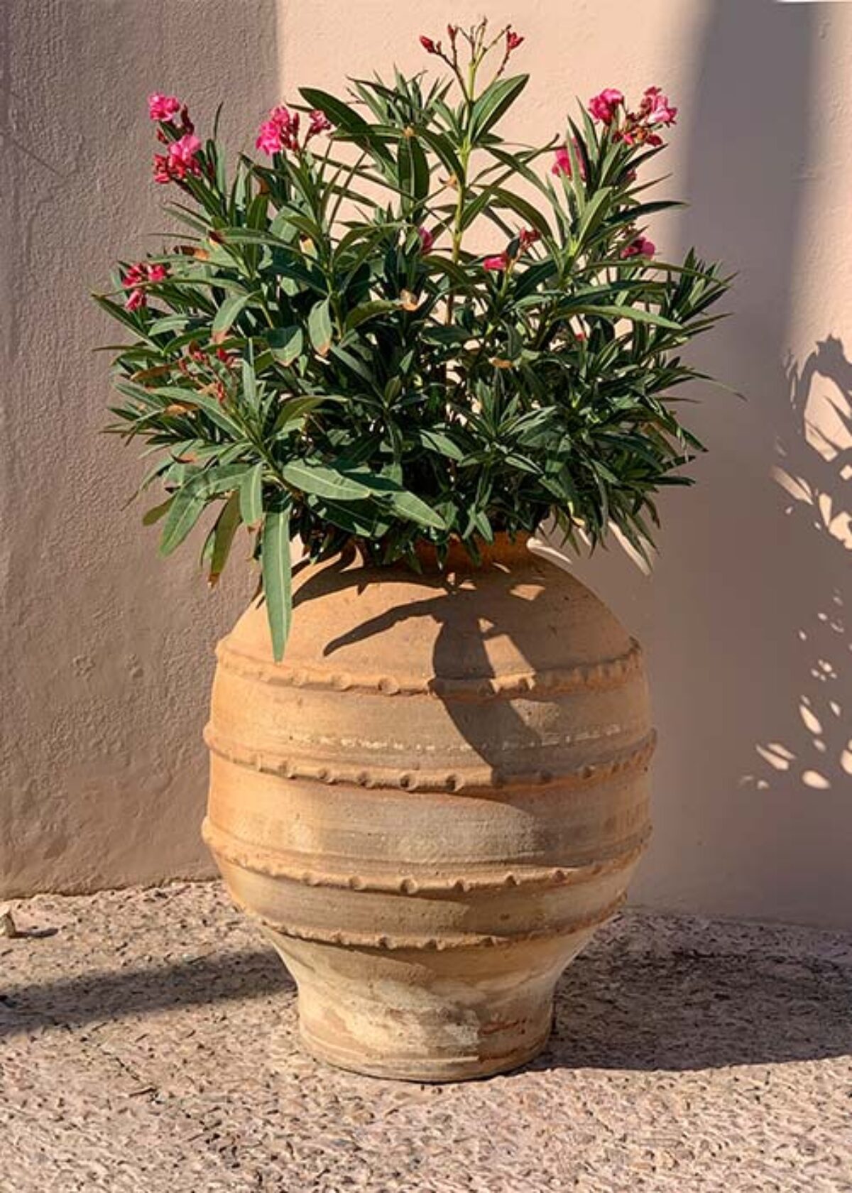 blumenkasten modern Rechteckiger Blumenkasten für außen